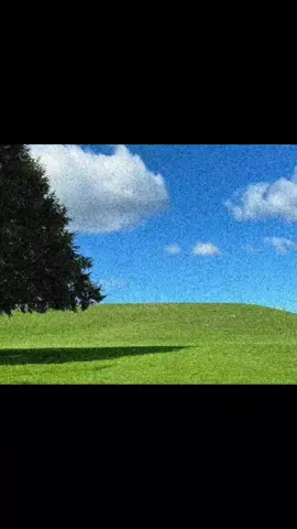 i am real? #dreamcore #weirdcore #dreams #nostalgic 