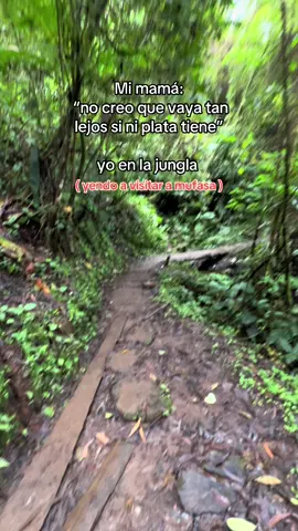 #xyzcba #paraty #fpy #pty🇵🇦 #mufasa #jungla #bcaxyz #fpyシ 