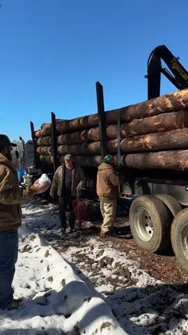 Snow day on the logging job 🤣 #kellyvideos #cuttingedgelogging #snow #snowballs 