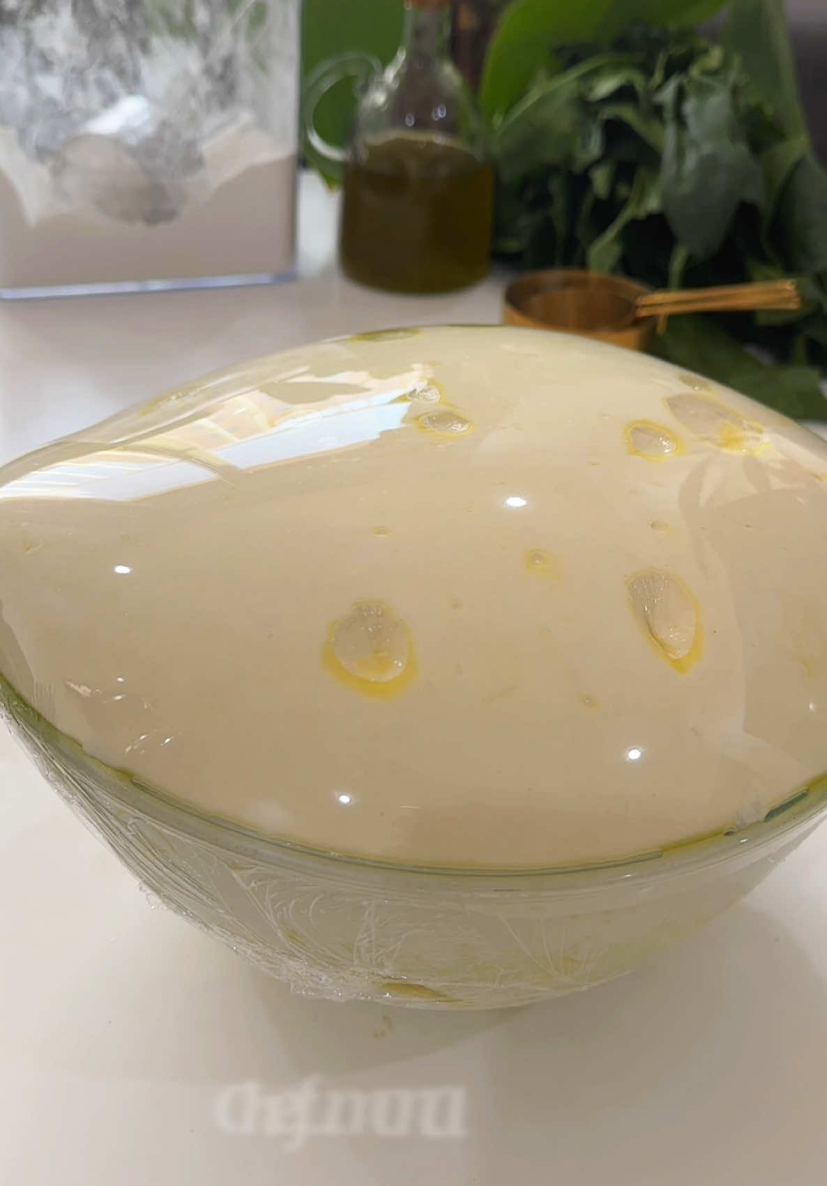 عجينه قطنيه  المكونات  ٦ أكواب طحين منخول  ‏‫‏‫‏‫‏‫‏‫‏‫‏‫‏‫‏‫‏‫‏‫‏‫‏‫‏‫‏‫1\2‬ كوب زيت زيتون ‫1\2‬ كوب حليب بودر ٢  ملعقة كبيرة سكر ‏ ملعقة كبيرة ملح كوبين ونصف من الماء الدافئ وممكن ٣ أكواب حسب نوع  الطحين  ‏ملعقة كبيرة خميرة فورية  #رمضان #سلطه_صحيه #الكويت🇰🇼 # #kuwait #Recipe ##عجين #فن #وصفات