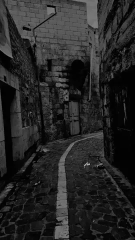 السؤال في كلمتين احنا مين وليه وفين #امال_ماهر  #السؤال_في_كلمتين  #قضيه_راي_عام  #مصممه_فيديوهات  #تصميمي  #اكسبلور  #الشعب_الصيني_ماله_حل😂😂  #تيك_توك  #ترند  #ترند_تيك_توك  #تصميم  #تصميم_فيديوهات🎶🎤🎬  #جديد  #مشاهير_تيك_توك_مشاهير_العرب  #مشاهير_العالم 