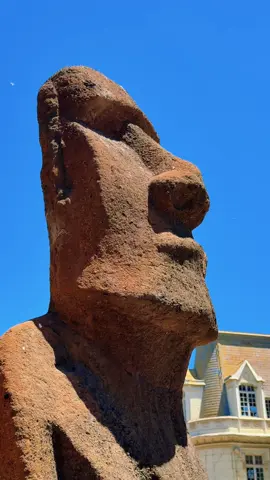 MOAI | Viña del Mar | Chile 🇨🇱 