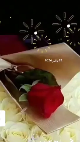 #في هذا اليوم #اكسبلاذا #في #parati #study #parati #study #parati #study #