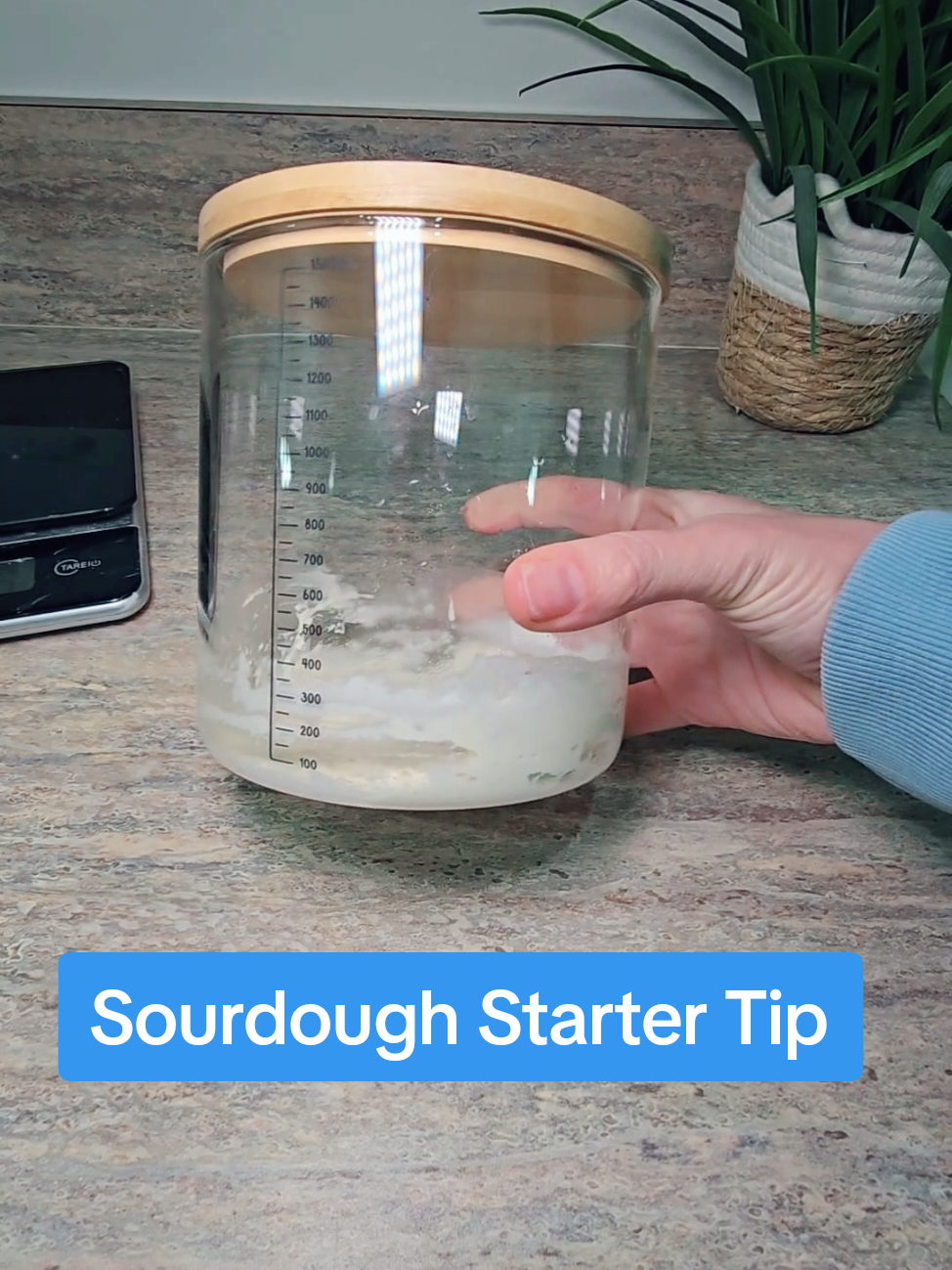 Replying to @lauramurphy65 Sourdough Starter Tips and A beautiful jar. #sourdoughbread #sourdough #sourdoughstarter #sourdoughtok #sourdoughforbeginners #sourdoughbaking 