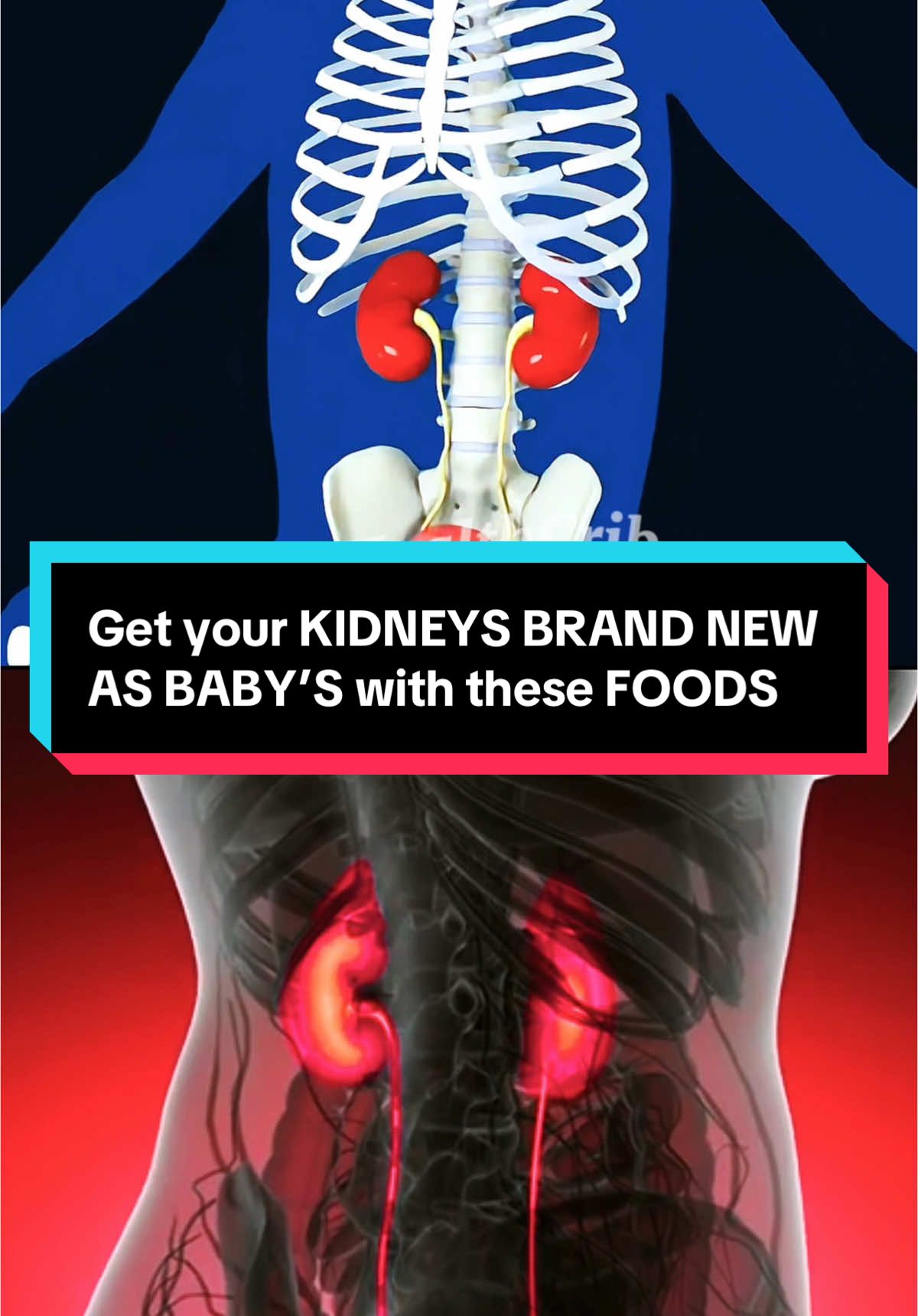 Get your KIDNEYS BRAND NEW AS BABY’S with these FOODS you already have in your kitchen  #kidneyhealth#kidney#kidneystone#kidneywarrior#kidneystonesurvivor 
