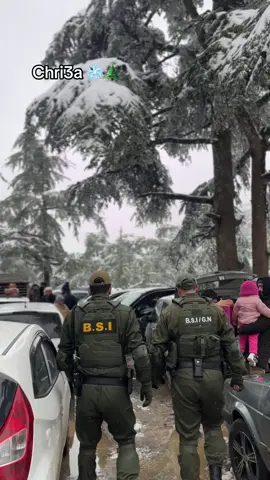 #الشريعة #شريعة❄😍 #الشعب_الصيني_ماله_حل😂😂 #fyp #wintervibes #chriaa #blida #chri3a_blida #chri3a09🌲🥰♥️ #fyyyyyyyyyyyyyyyy #paratiiiiiiiiiiiiiiiiiiiiiiiiiiiiiii 