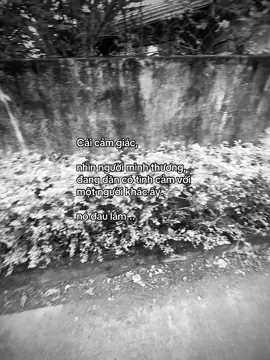 #tamtrang #pyf #htuan208 #gttxhuong 