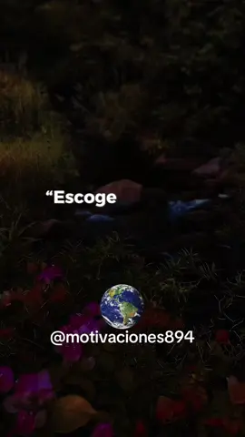 !! Escoge bien tus amigos no todos te quieren ver ganar “#motivaciones #gratitud #reflexión #amigosde❤️mil #ganar #verdaderosamigos #triunfar #envidia #competencia #resaltar #egoismo #fuerte #leccionesdevida #crecimiento 