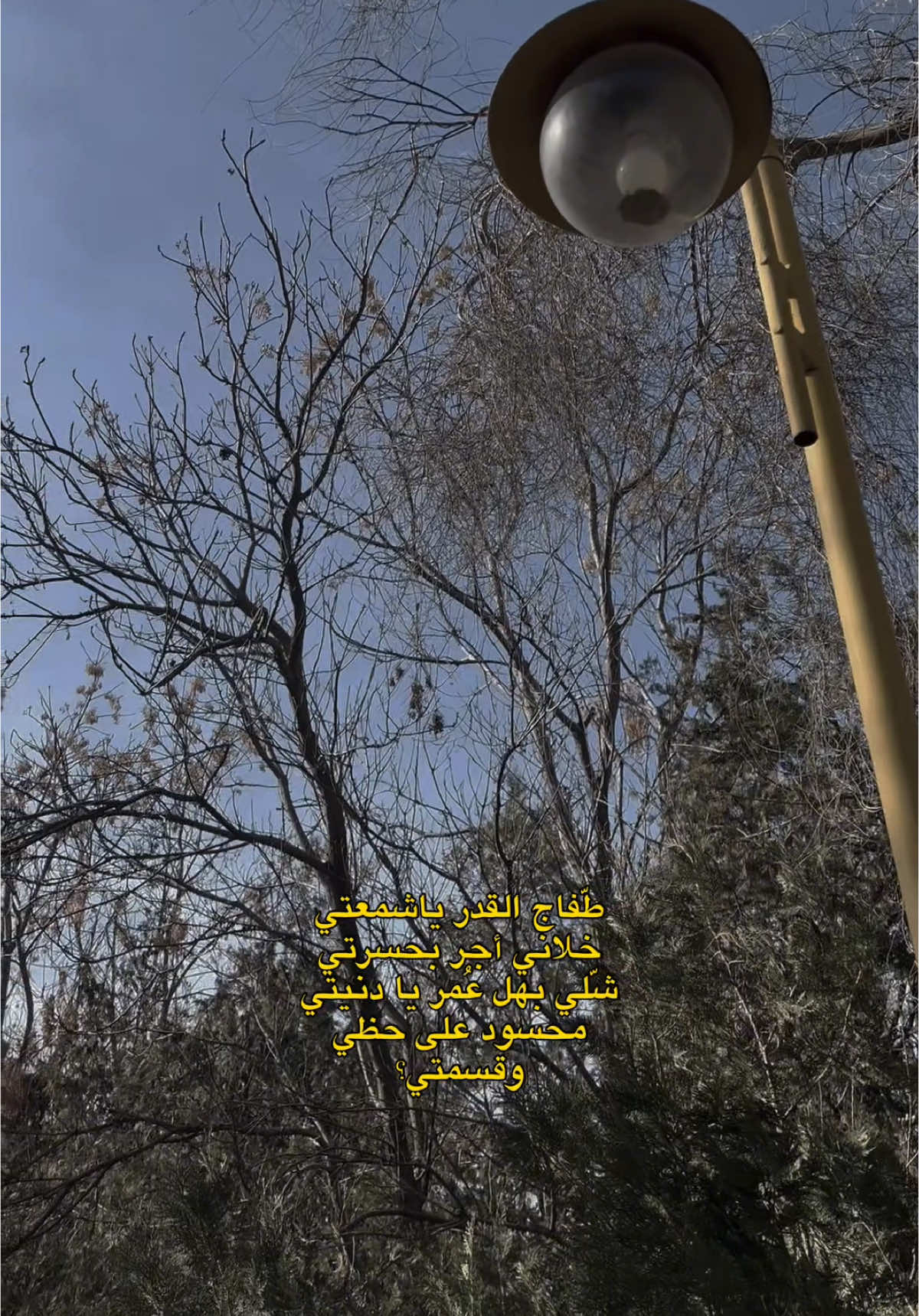 طفاج القدر يا شمعتي؟ ♡✨ #fypシ #اربيل #بارك_سامي_عبدالرحمن #قوالب_كاب_كات_جاهزه_للتصميم #شاشة_سوداء🖤 #كاب_كات 