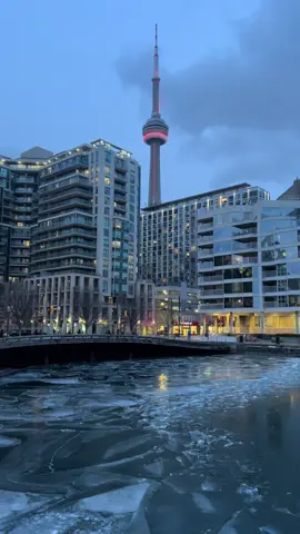Frozen moments in the heart of the #6ix #downtowntoronto #canada_life🇨🇦 #traveltiktok #wintervibes #torontolife #frozenlake 