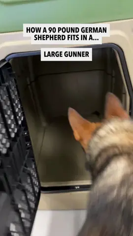 More often than not, German Shepherds fit best in our G1™ Large Kennel. We brought in one of our Pack Members to test out three of our kennel sizes to help you get a visual of how your dog may fit in a GUNNER. What dogs do you want to see next? Let us know and we'll make it happen 🤝