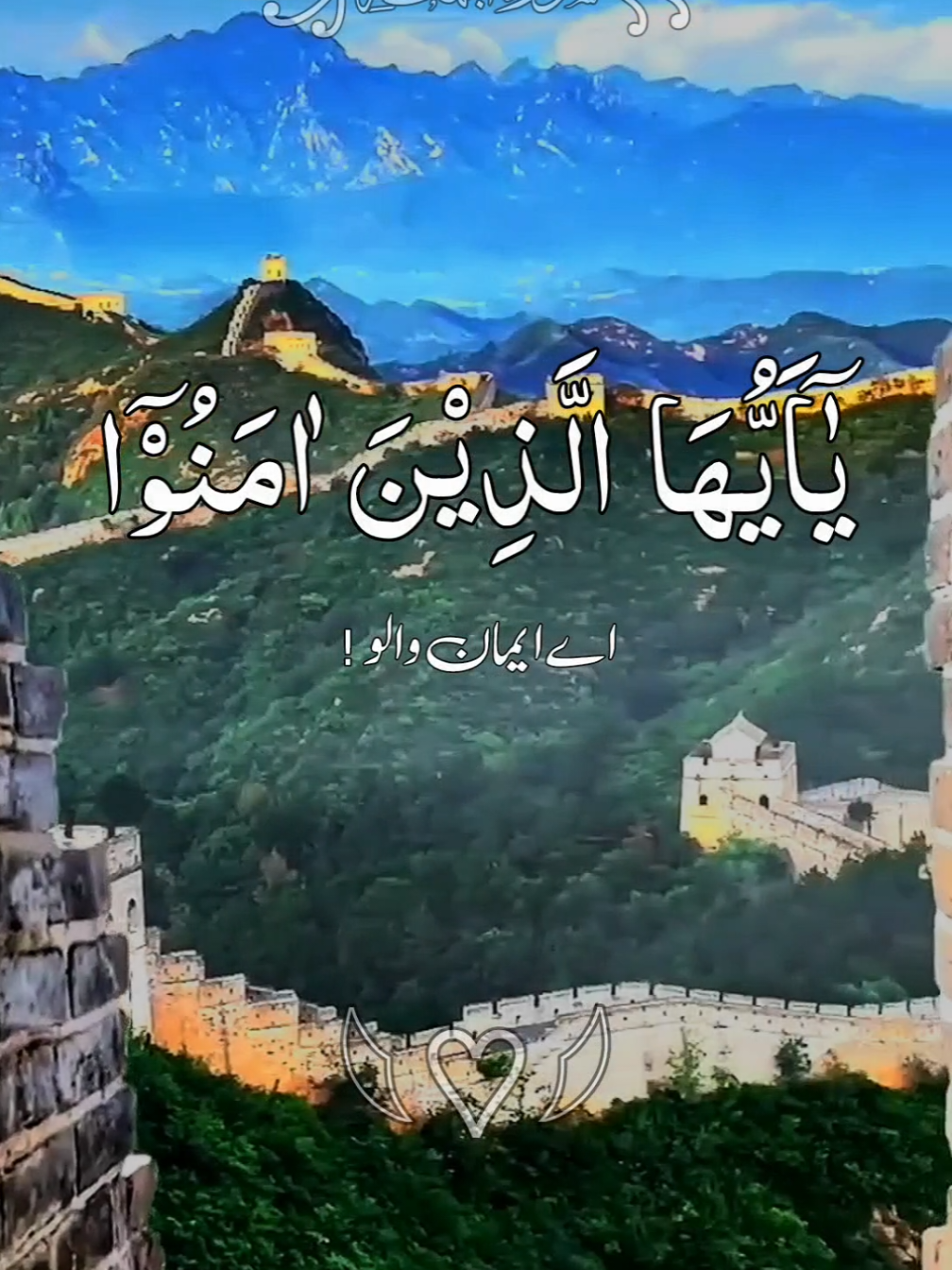 #القران_الكريم #القران_الكريم_راحه_نفسية😍🕋 #ارحمنا_برحمتك_ياارحم_الراحمين #ماشاءالله_تبارك_الله #ارح_سمعك_بالقران #quran #foruyou #grow #growmyaccount #fyp #foru @TikTok @TikTok UK @tiktok creators 