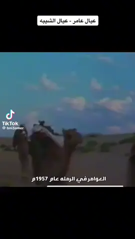 #العوامر عيال الشيبة 