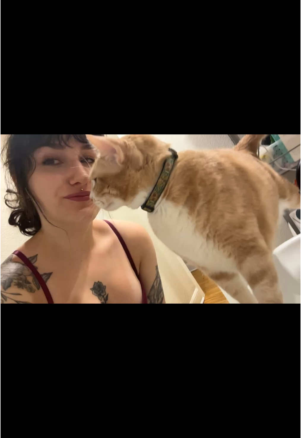 my baby boi💛 #catsoftiktok 