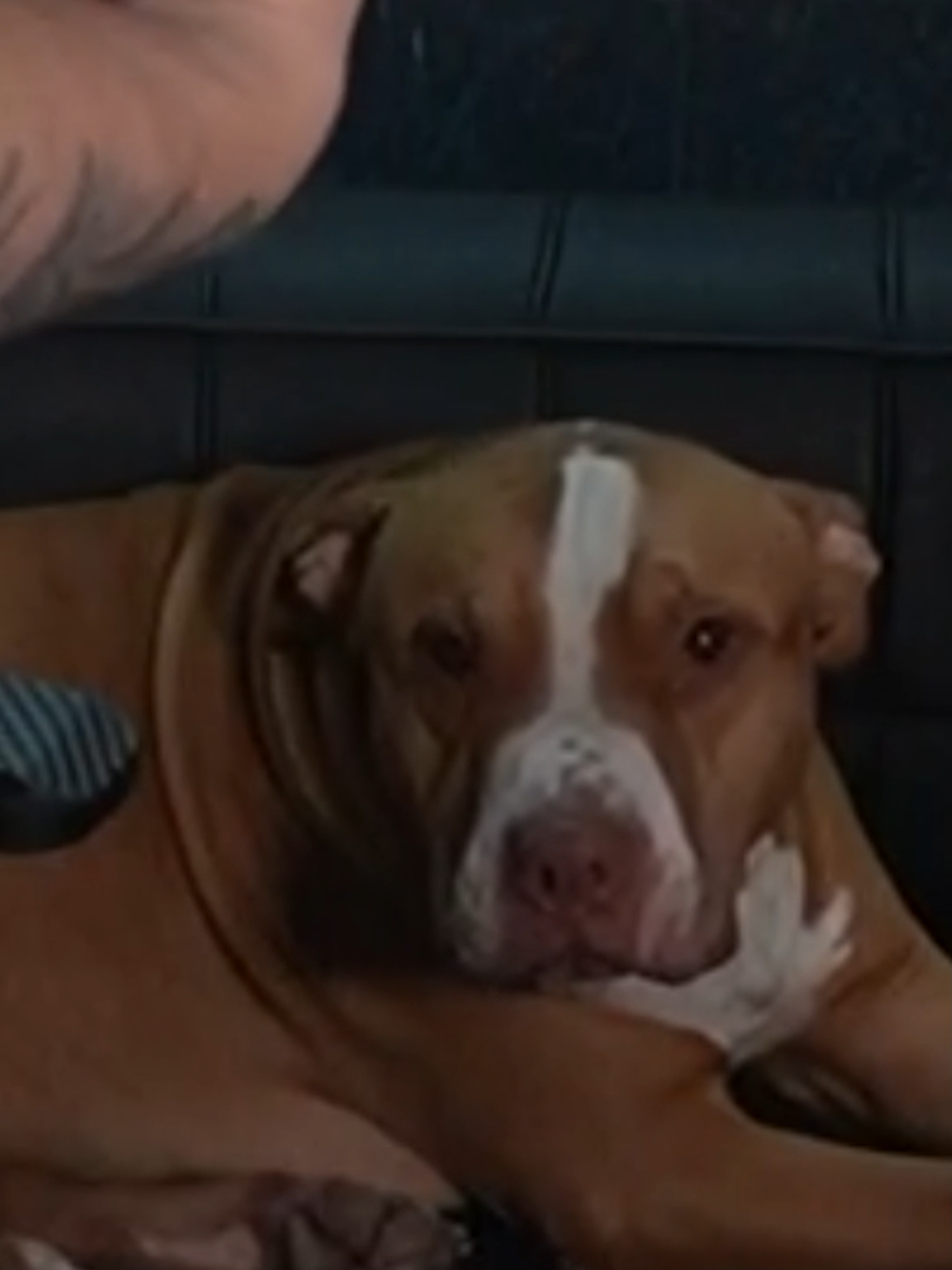 No tyron no hagas esooooooo !! 🤮