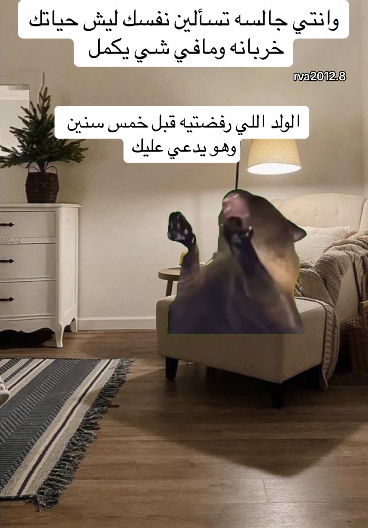 #Meme #MemeCut #memenatal #fyp 