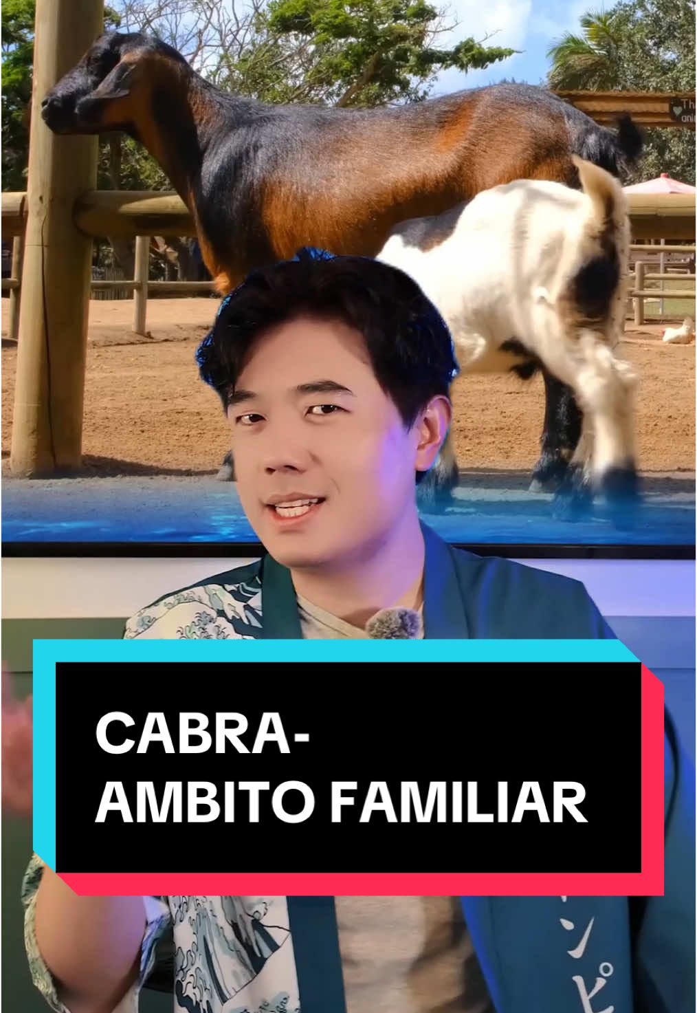 Por fin cabra loca! #horoscopo #horoscopochino #estrellas #prediccion #familia #tarot #magia #esoterico #fengshui #qi #cabra 