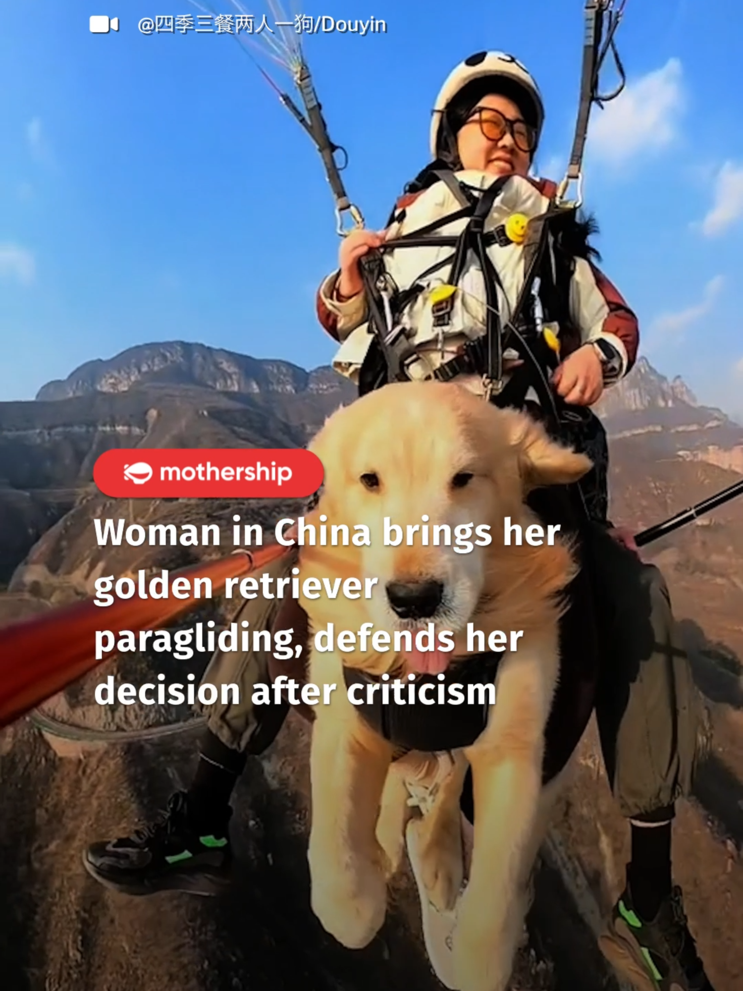 👁️ 👅👁️  #dog #dogsoftiktok #dogs #dogtok #doglife #paragliding #china #doglovers #doggy #adventure