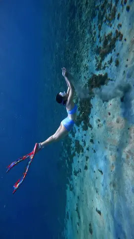 “Người lặn tự do giữa làn nước xanh, phía dưới là rạn san hô rực rỡ ánh sáng.”🌊🐠🪸🤿 #phuquyisland #daophuquy #phuquy #freediving #xuhuong 