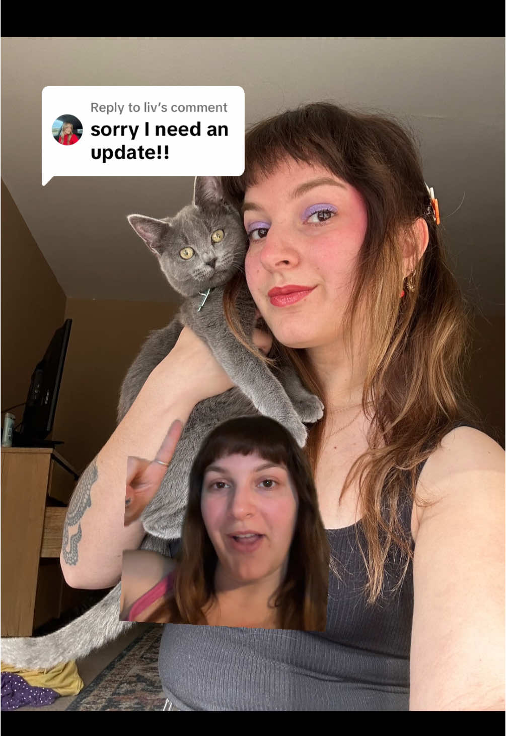 Replying to @liv Cat won’t stop meowing??? You might just need to get them a friend after all! Meet Zumi!! #catsoftiktok #catmom #feline 