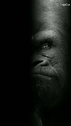 org baik ngn kite..kite baik ngn org..org jahat ngn kite..biar dia masuk neraka sorang²..😎