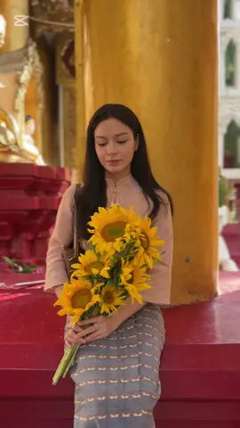 မခွဲအတူတူ အနေကြာစေချင်လို့ နေကြာတွေ လှူခဲ့မိတယ် 🌻  #MayGrace #မေဂရစ့် #maygraceparry #myanmartiktok🇲🇲🇲🇲 #shwedagonpagoda #sunflower  Curves & Fit 🤍👗