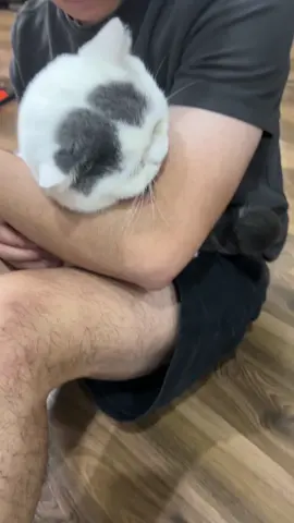 mẹ cứ trêu em 😂