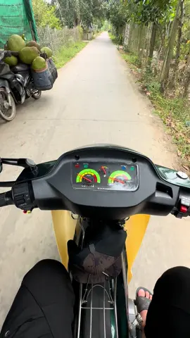 #xuhuong #tanphong 🤪