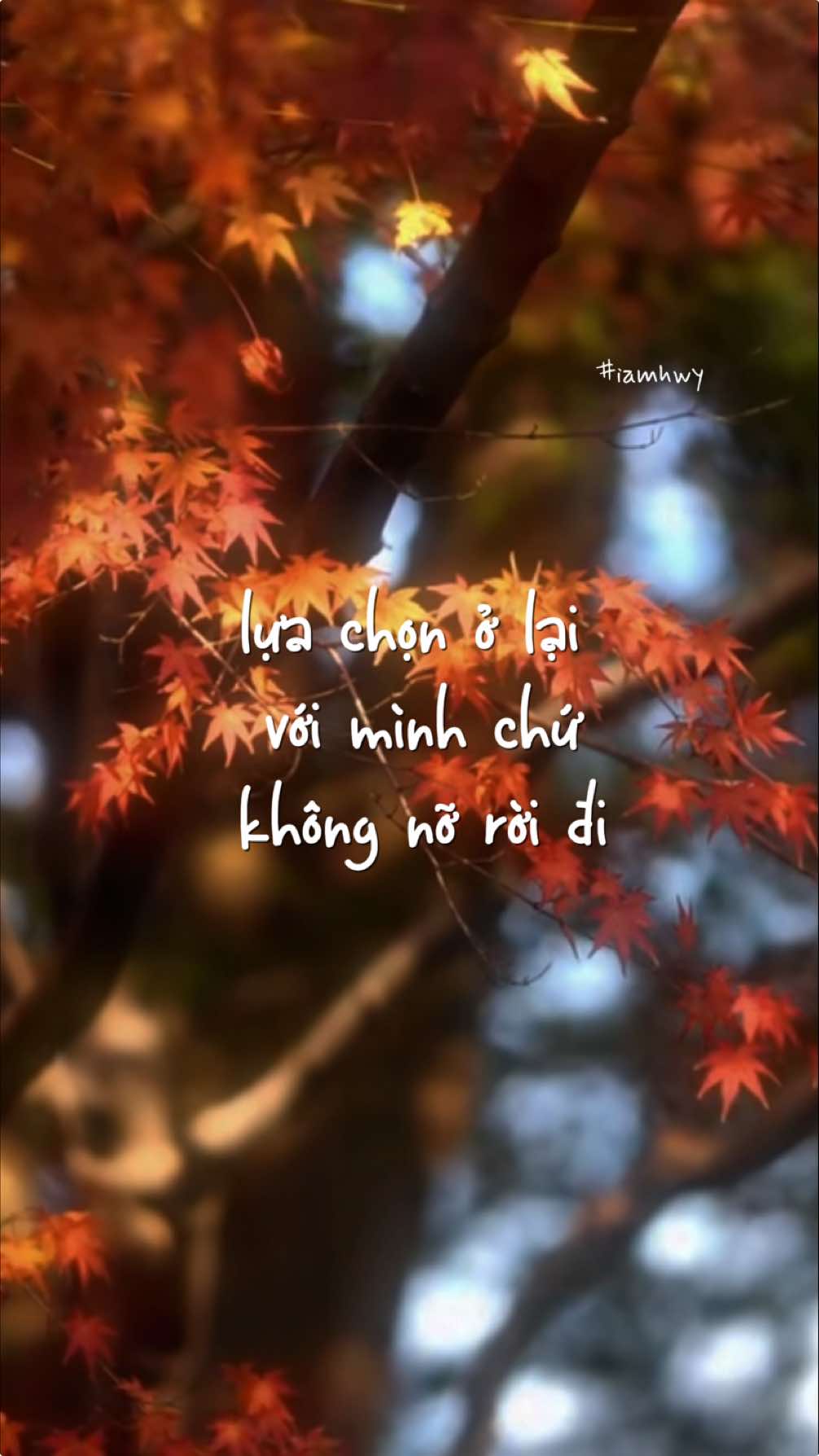 #iamhwy2509 #fypシ #xuhuong #lyrics #podcasts #foryou #trending #quote #chualanh 