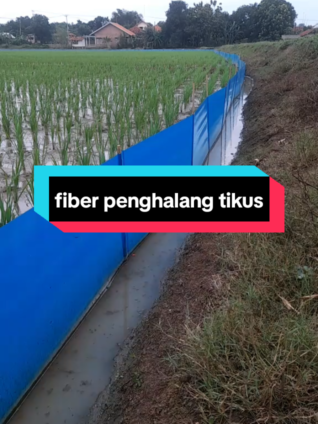 fiber#fiber penghalang tikus