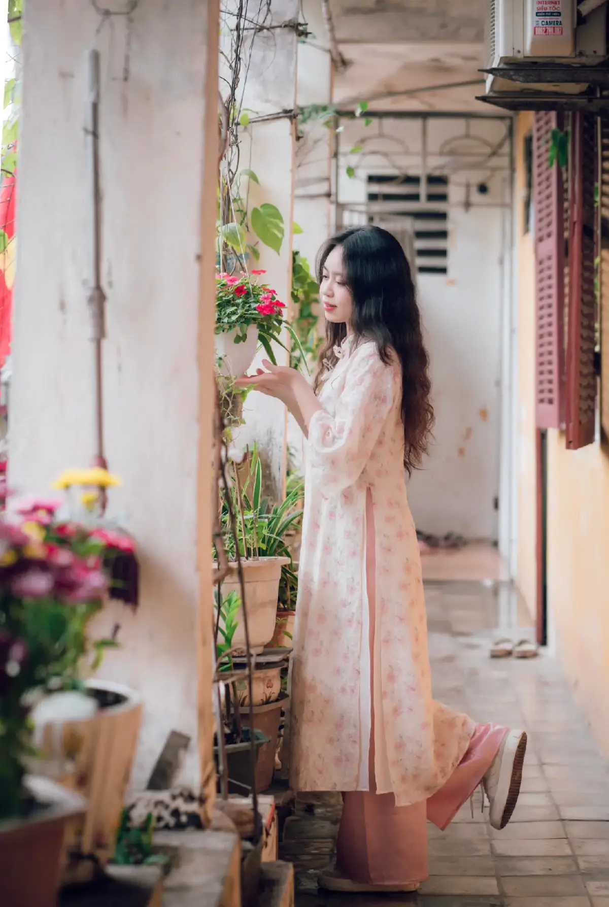 +1 hippie đón Tết  #xh #aodai #aodaitet #2025 #viral 