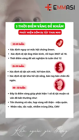 3 Thời điểm vàng để khám, phát hiện sớm d:ị tật thai nhi, ba mẹ cần lưu ý 3 mốc khám này nhé! #emmasivn #mebauthongthai #thaikykhoemanh #randasausinh #mangthai #randa #thainhi #randal #sosinh #embe #vochong