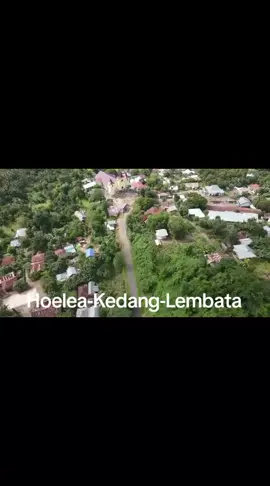 HoeleaKedang #fyppppppppppppppppppppppp  #viraltiktok  #tiktokviral  #lembatamanise  #kedang_lembata_ntt  #hoelea 