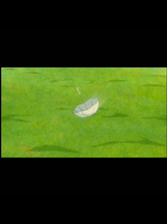 everything I own #fyppppppppppppppppppppppp #thewindrises #ghibli #anime #fyp #trending 