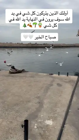 #صباح_الخير #صباحكم -سعادة#صباحكم_معطر_بذكر_الله💚🌹🌿🌷😍🌸🙏 #احلى -صباح#fyp #foryou 