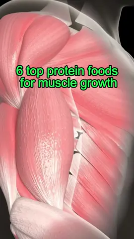 6 top protein foods for muscle growth #health #healthtips #healthy #foryou #DidYouKnow #tiktok 
