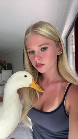 ducky #duck 