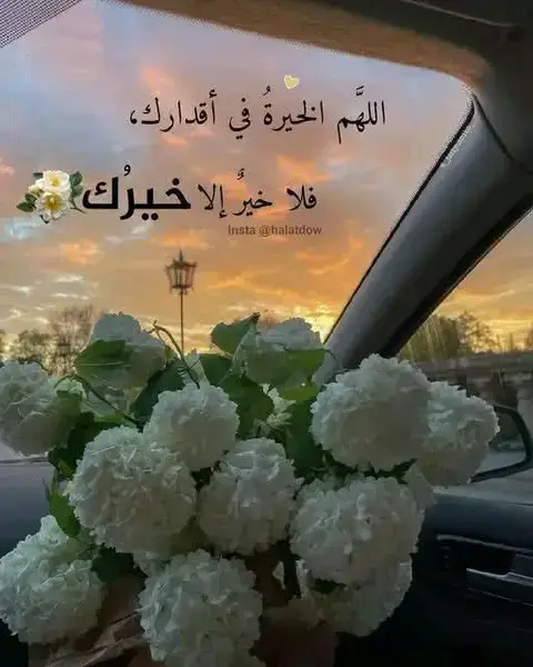 اللهم امين يارب العالمين 🤲 والصلاة والسلام على سيدنا محمد 💚💚💚💚💚💚