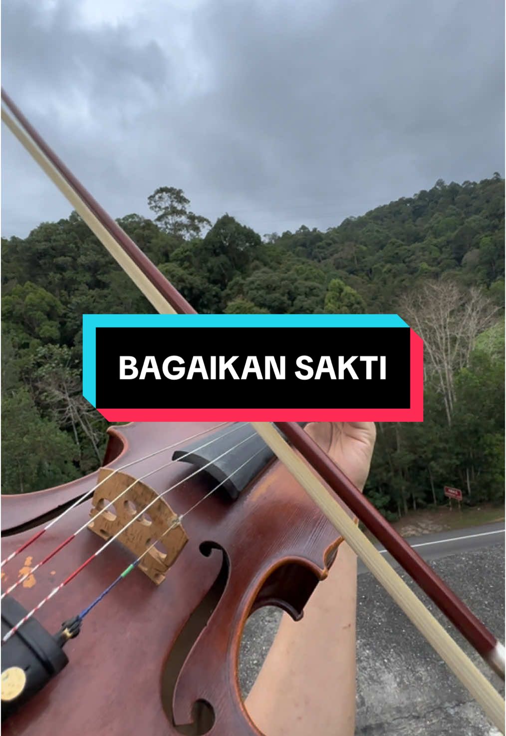 Violin Cover-Bagaikan Sakti #fyppppppppppppppppppppppp #coversongs #violincover🎻 #violinnnnnnn 