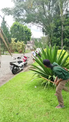 Tidak semudah itu paman😂 #bodoransunda #komedi #viral #lucu #fyp 