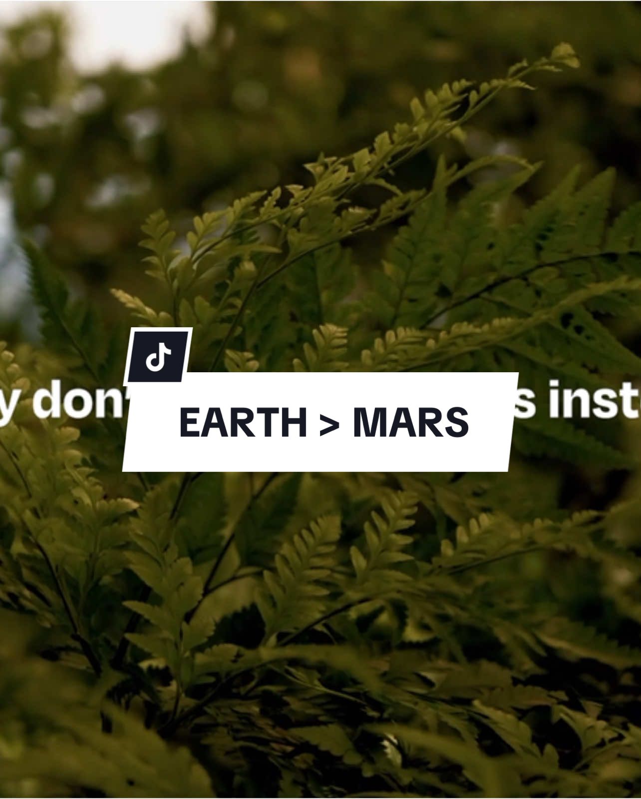 If we can’t protect Earth how do we expect to sustain ourselves on Mars  Earth filmed by me  #elonmusk #mars #climatechange #foryou #environment 