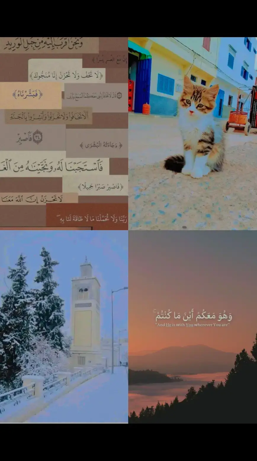 #قران #تونس🇹🇳 #fffffffffffyyyyyyyyyyypppppppppppp #استغفرالله 