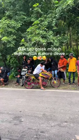 #tigerdewifortuna #fortunagank #djalmiraberto #fyp #herex 