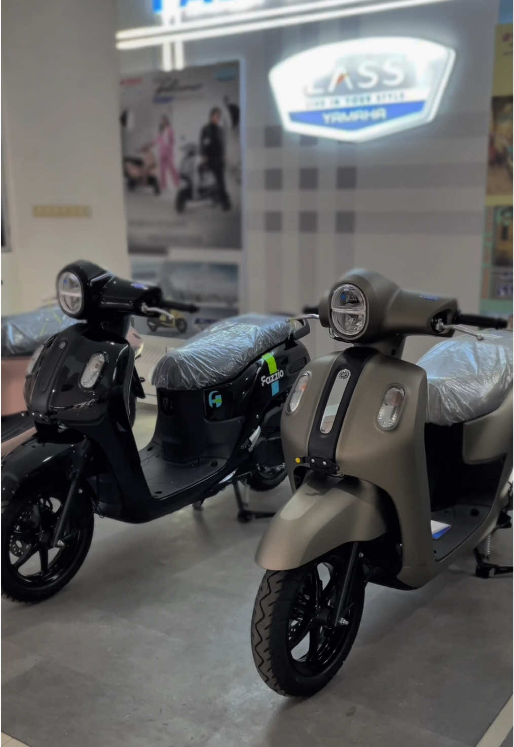 Warna terbaru dari Fazzio wirrrr , menyalaaaa ada kunci manual ada yang keyless sayang 🔥🤍 No indent ready stock Admin 082116695399  #fazzio #fazzioclassyclub #fazzioyamaha #fazzio125 #fazziogayague #fazziomodifikasi #fazziohybridconnected #fazzioyamaha #yamaha 