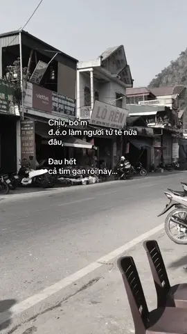 #quangtrung08_1 #tamtrang #ddnxuhuong 