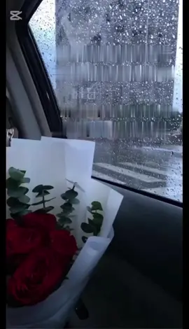 # أنت _فاهم_يعني_ايه_انك_امل_انسان #اكسبلورexplore_لايك_متابعة  🌹💞