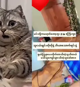 #ငါလဲပါမယ်လေ😁 #ရှယ် #darkside #linkinbio✈️✈️✈️ #fyp #comကိုကြည့် #တူတူမှောင်ကြတာပေါ့ 