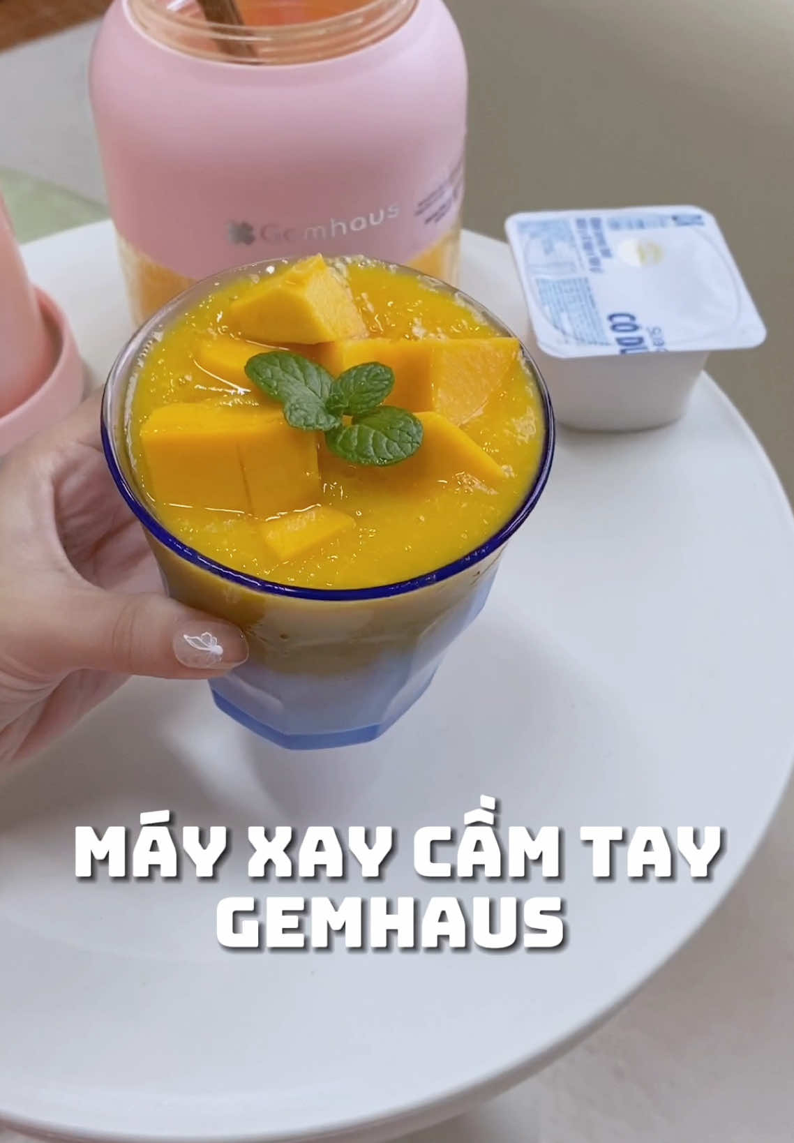 | Máy xay cầm tay Gemhaus | #vtvcab #thegioidecor #mayxaysinhto #gemhaus 