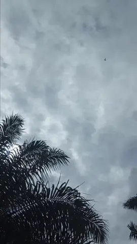 #supirtrukindonesia #trendingvideo 