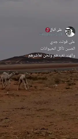 #على_قولت_جدي #عباراتكم_الفخمه📿📌 #على_البال #tiktok #viral #fypシ 